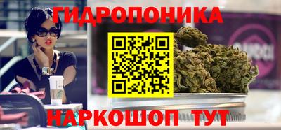 PSILOCYBIN Апшеронск