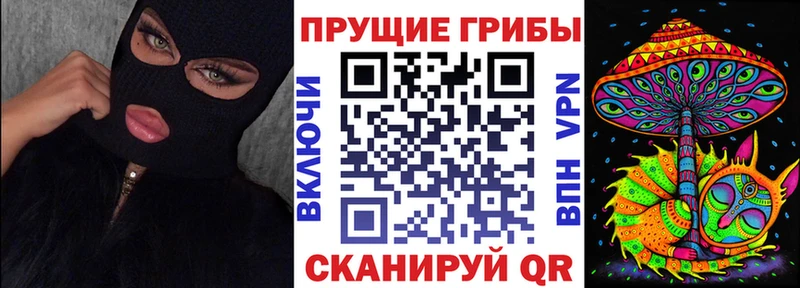 Псилоцибиновые грибы ЛСД  закладка  Белгород 