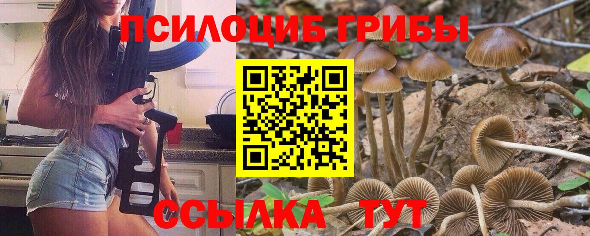 Псилоцибиновые грибы Psilocybe  Вход с VPN  закладки  Белгород 
