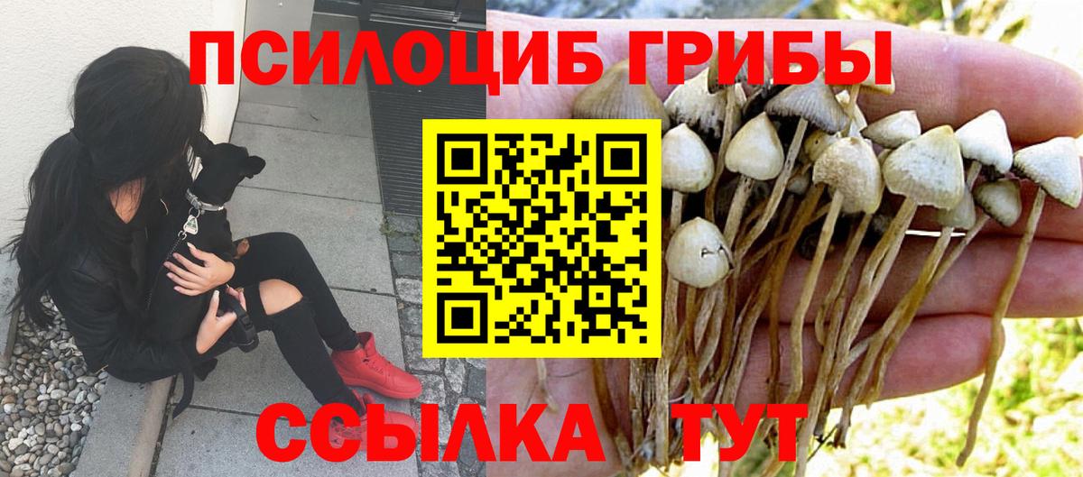 Галлюциногенные грибы прущие грибы Белгород